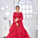 Embroidered Net Lehenga