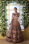 Embroidered Peach Gown