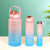 Motivational Water Bottles Set Of 3